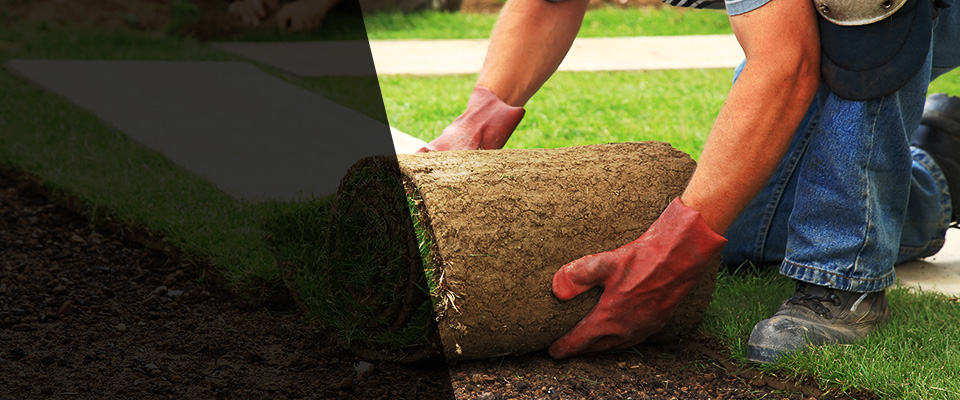 Jersey Shore Landscapers